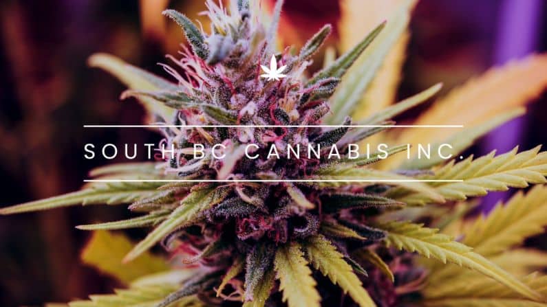 South BC Cannabis