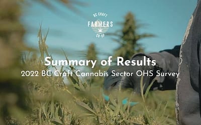 Summary of Results: 2022 BC Craft Cannabis Sector OHS Survey