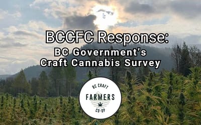 BC Craft Farmers Co-Op Responds to BC Government Cannabis Branding Survey
